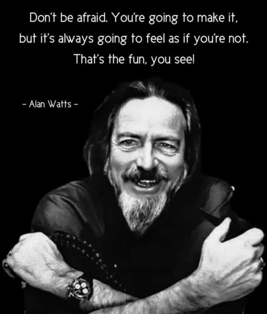 SelfSo - Alan Watts